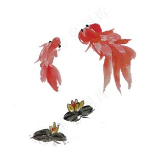 两条水墨金鱼手绘