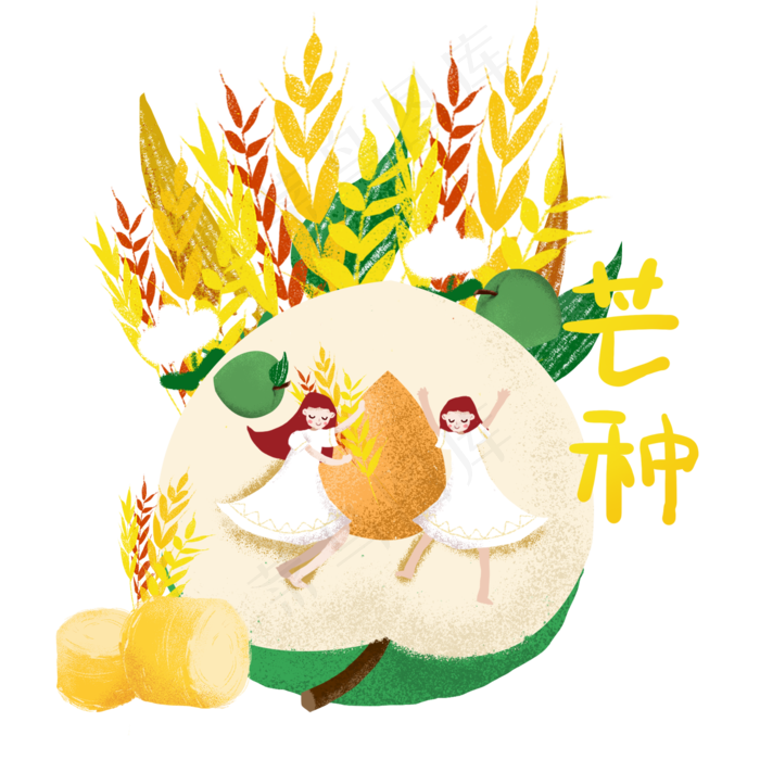 24节气芒种青梅卡通插画