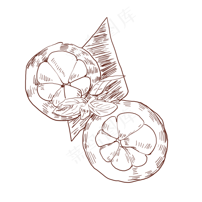 线描山竹水果插图(2200X2200(DPI:299))psd模版下载