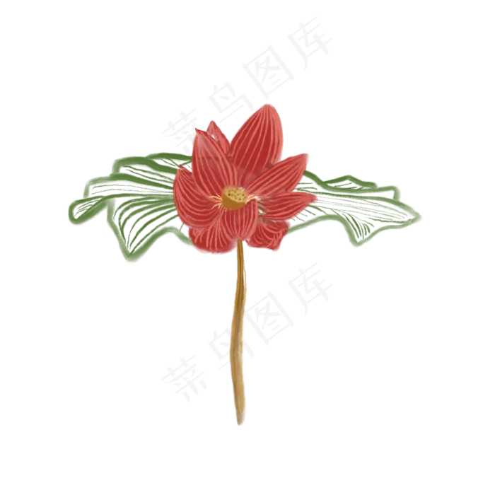 鲜艳的荷花装饰插图免抠(2000X2000(DPI:132))psd模版下载