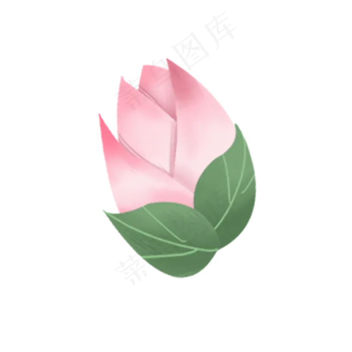 彩色植物荷花元素(2000X2000(DPI:300))psd模版下载