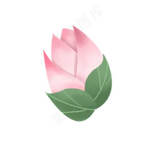 彩色植物荷花元素