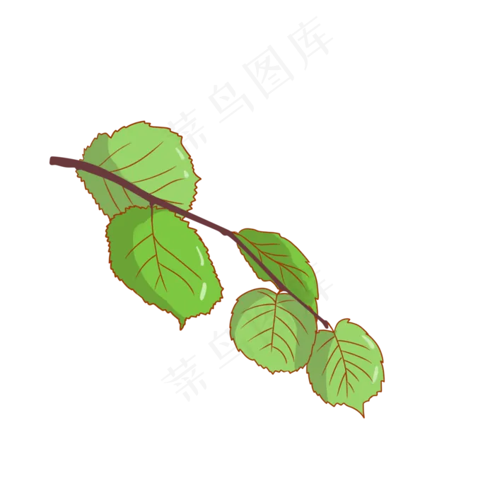 绿色的叶子植物装饰(3000X3000(DPI:299))psd模版下载