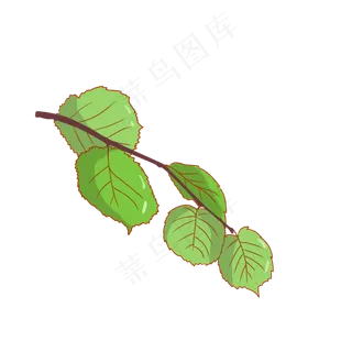 绿色的叶子植物装饰