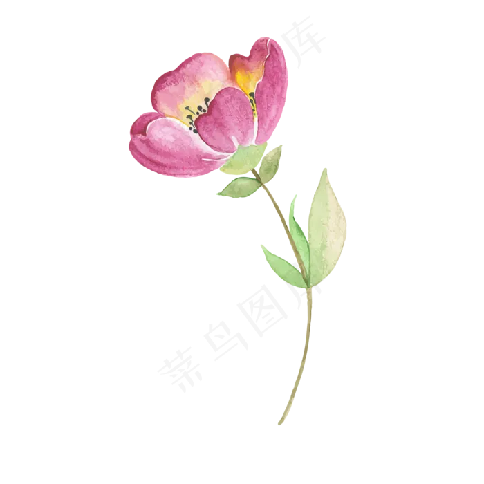 水彩花朵(2000*2000px 300 dpi )ai矢量模版下载