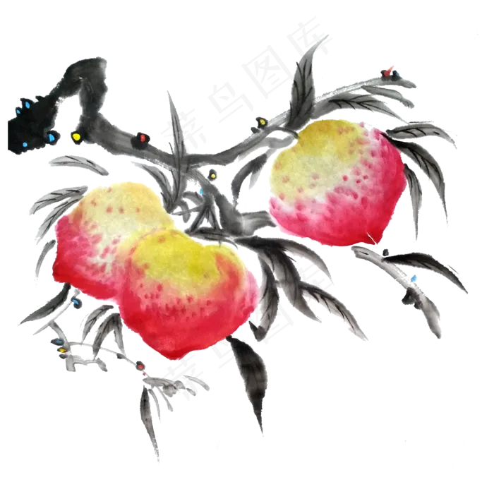 水蜜桃桃子蟠桃水墨国画PNG水果(3000X3000(DPI:300))psd模版下载
