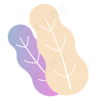 叶子春季自然植物