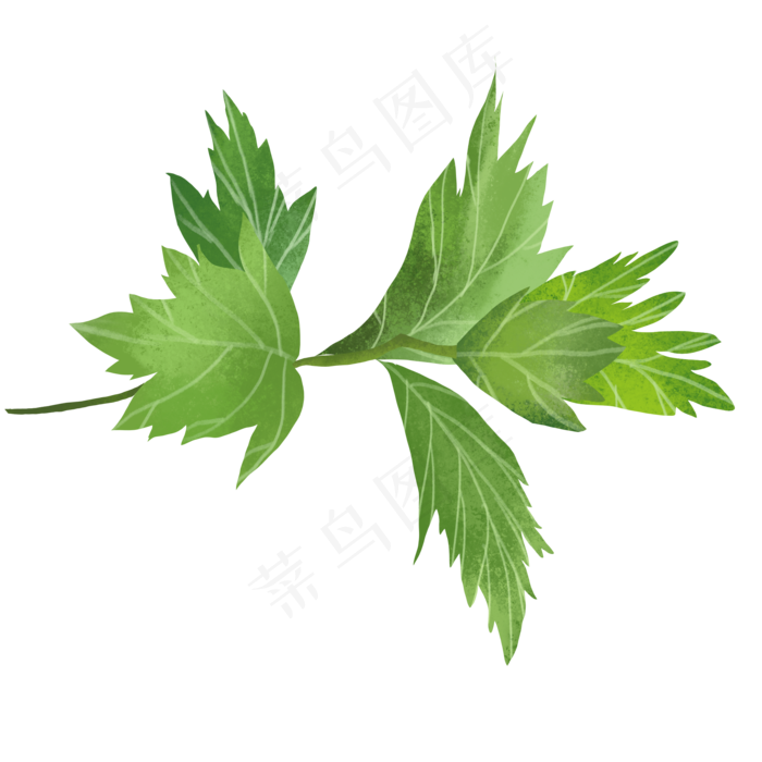 绿色小清新艾草艾叶,免抠元素