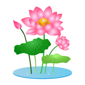 手绘卡通粉色莲花