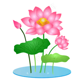 手绘卡通粉色莲花