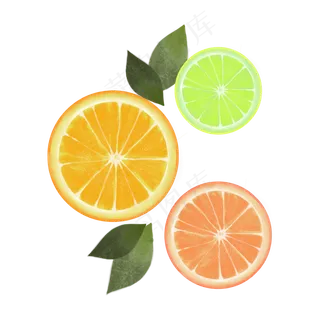 柠檬片素材
