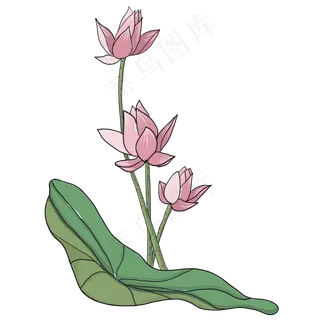 手绘中国风荷花PNG素材