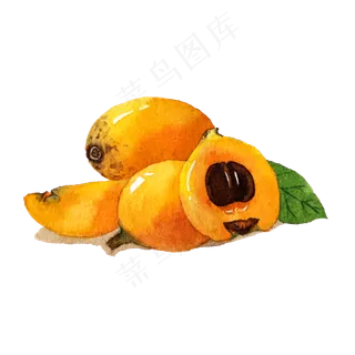 五月枇杷美味黄色水果水彩PNG