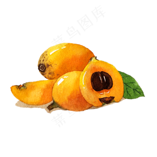 五月枇杷美味黄色水果水彩PNG