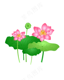 手绘卡通免扣荷花