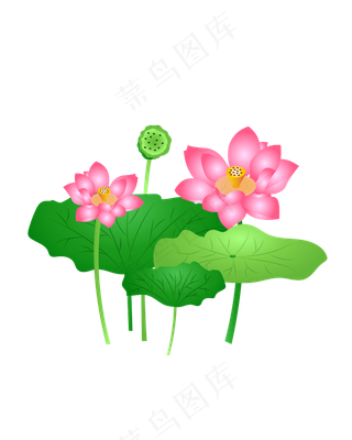 手绘卡通免扣荷花