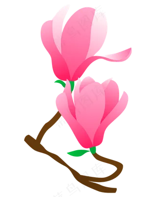矢量免扣卡通玉兰花,免抠元素