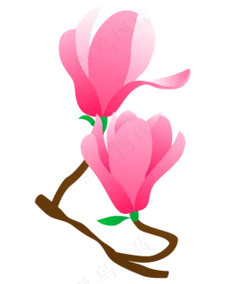矢量免扣卡通玉兰花,免抠元素 矢量免扣卡通玉兰花,免抠元素