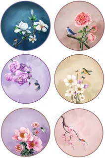 古风花卉复古国画写实花鸟合集,免抠元素