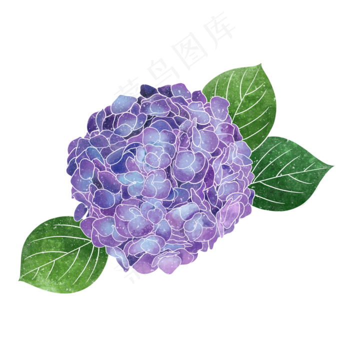 春季水彩植物蓝色绣球花(2000X2000(DPI:300))psd模版下载