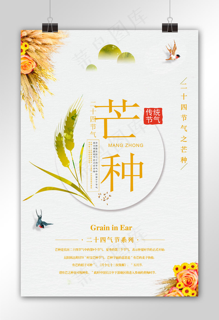 菜鸟图库原创芒种海报