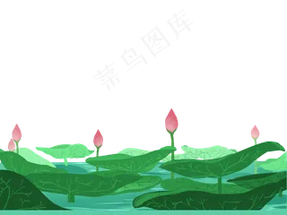 装饰底框风景初夏荷叶碧绿风景绿