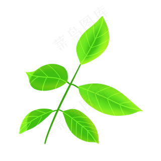 绿色绿叶植物插图