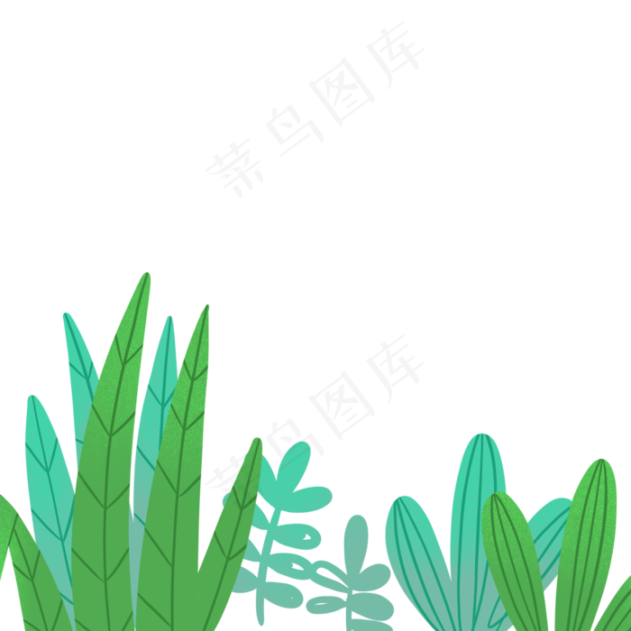 绿色植物叶子