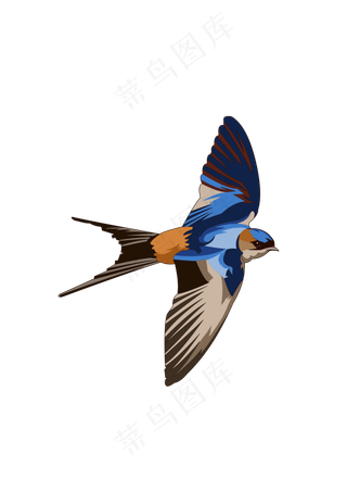 春分燕子免扣元素,免抠元素