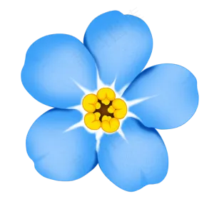 鲜花蓝色小花