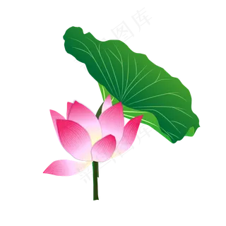 矢量卡通粉色莲花