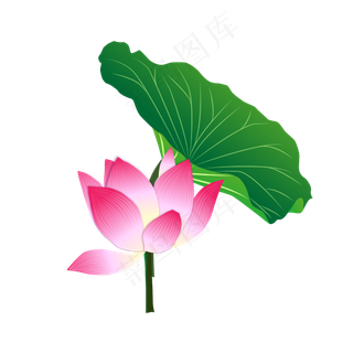 矢量卡通粉色莲花