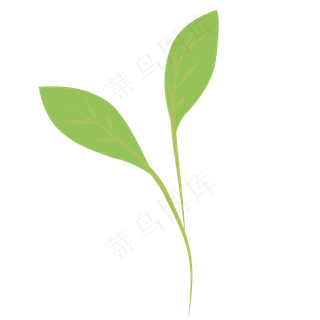 简约黄绿色树叶小幼苗发芽的叶子