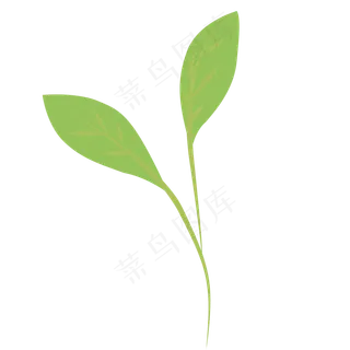 简约黄绿色树叶小幼苗发芽的叶子