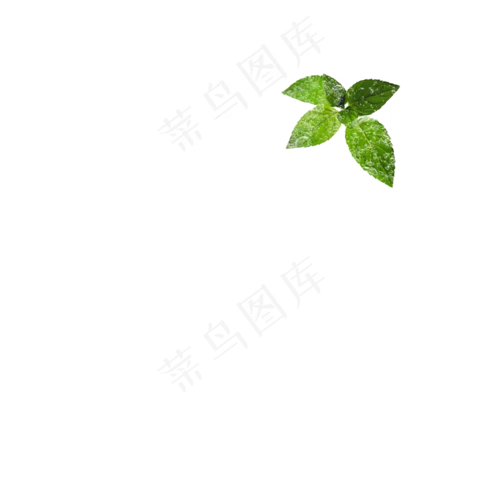 冰块冰晶薄荷叶几何冰元素,免抠元素(2000*2000px 300 dpi )psd模版下载