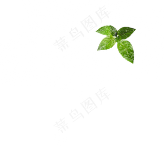 冰块冰晶薄荷叶几何冰元素,免抠元素