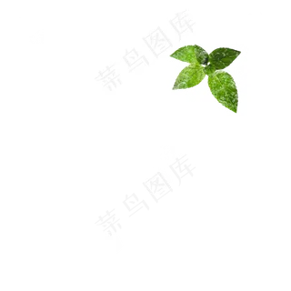 冰块冰晶薄荷叶几何冰元素,免抠元素