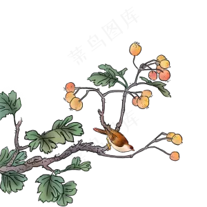 中国花鸟水墨国画红黄果麻雀PNG,免抠元素