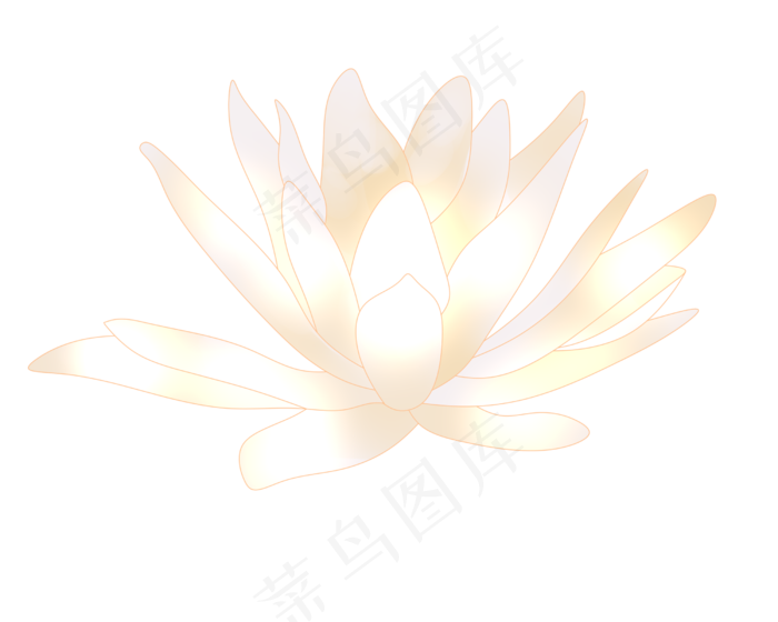 白色清新荷花插图