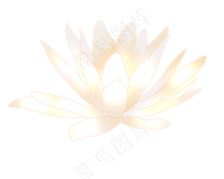 白色清新荷花插图