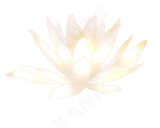 白色清新荷花插图