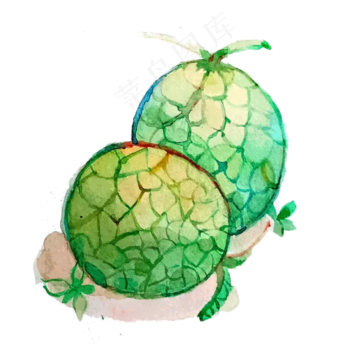 夏日水果哈密瓜甜美香瓜PNG(3000X3000(DPI:300))psd模版下载