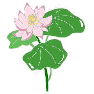 可商用清新可爱简约植物荷花