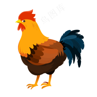 家禽动物大公鸡,免抠元素