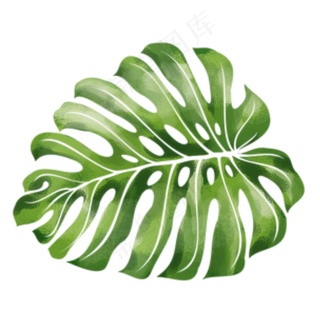 水彩绿色树叶芭蕉叶,免抠元素