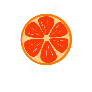 夏日水果橘子矢量图