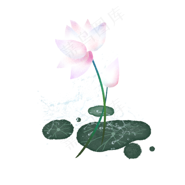 夏季荷花3(2000X2000(DPI:300))psd模版下载
