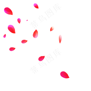 飘落的红色玫瑰花瓣