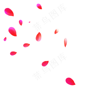 飘落的红色玫瑰花瓣