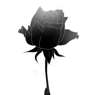 一朵黑色玫瑰花花束